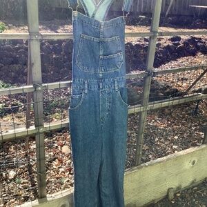 Free people Ziggy overalls